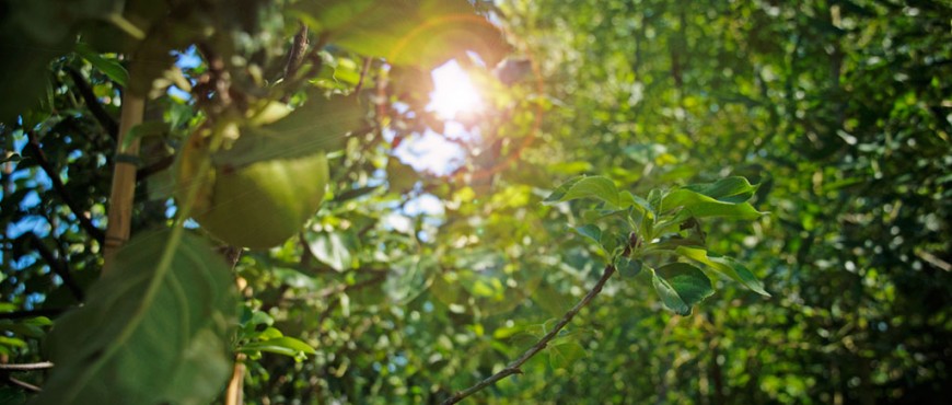 vakantiesluiting-van-aken-oudenbosch